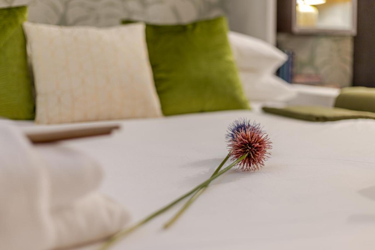 Green Terrace Loft Colosseum โรม ภายนอก รูปภาพ